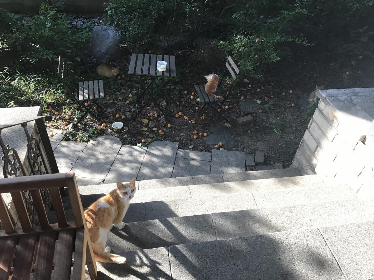 Naru Guesthouse Seoul Ngoại thất bức ảnh