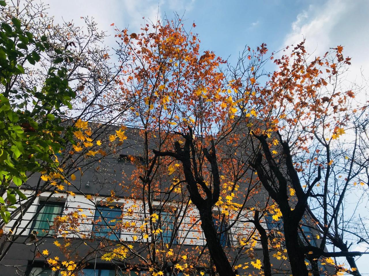 Naru Guesthouse Seoul Ngoại thất bức ảnh