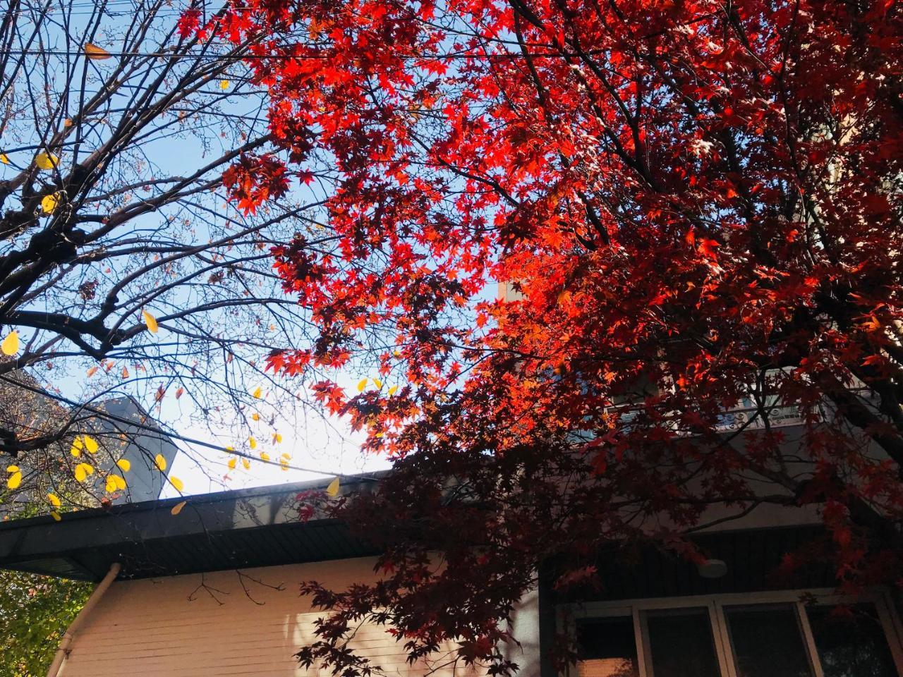 Naru Guesthouse Seoul Ngoại thất bức ảnh
