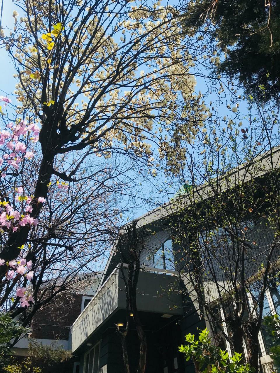 Naru Guesthouse Seoul Ngoại thất bức ảnh