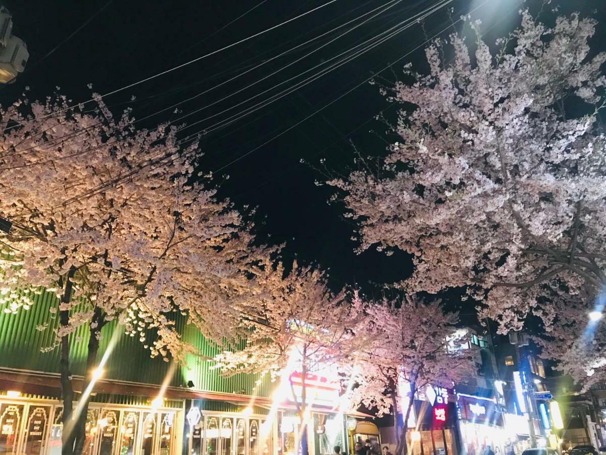 Naru Guesthouse Seoul Ngoại thất bức ảnh