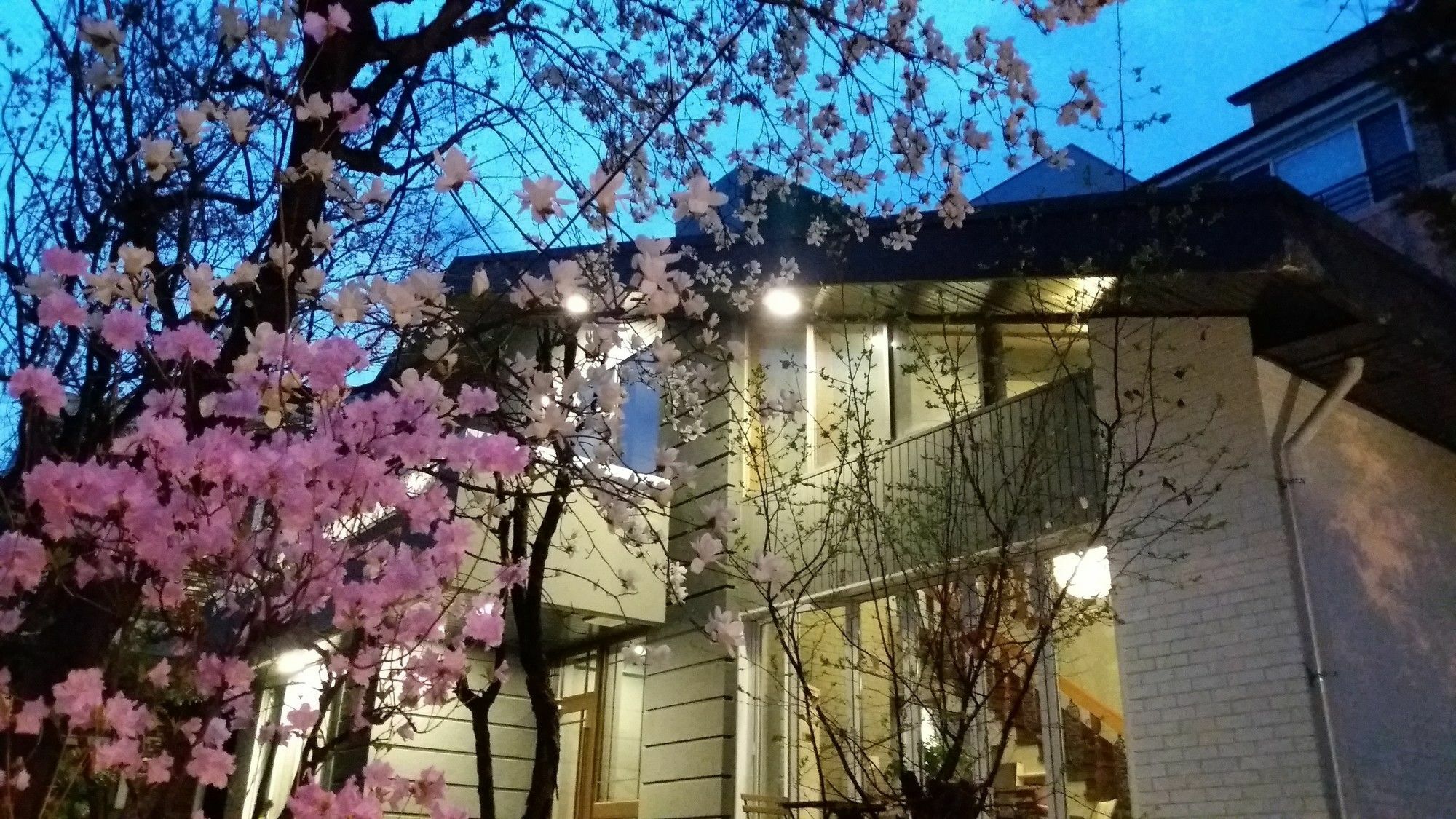 Naru Guesthouse Seoul Ngoại thất bức ảnh